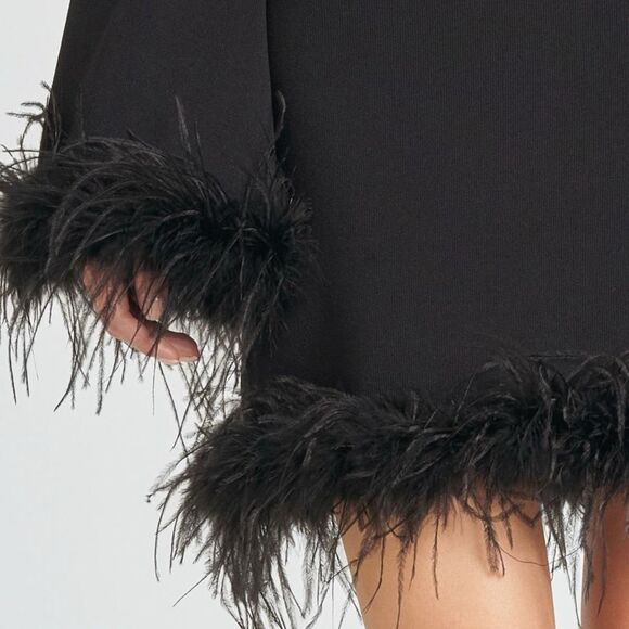 NWT WAYF (Where Are You From) “Karlie” black feather trim long sleeve mini dress - Picture 5 of 13